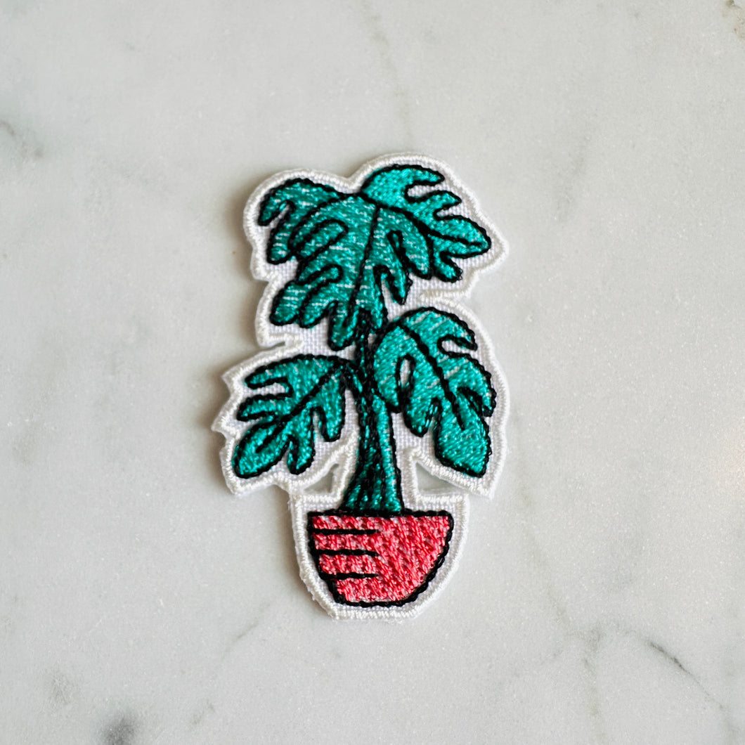 PIN - Planter E - Monstera