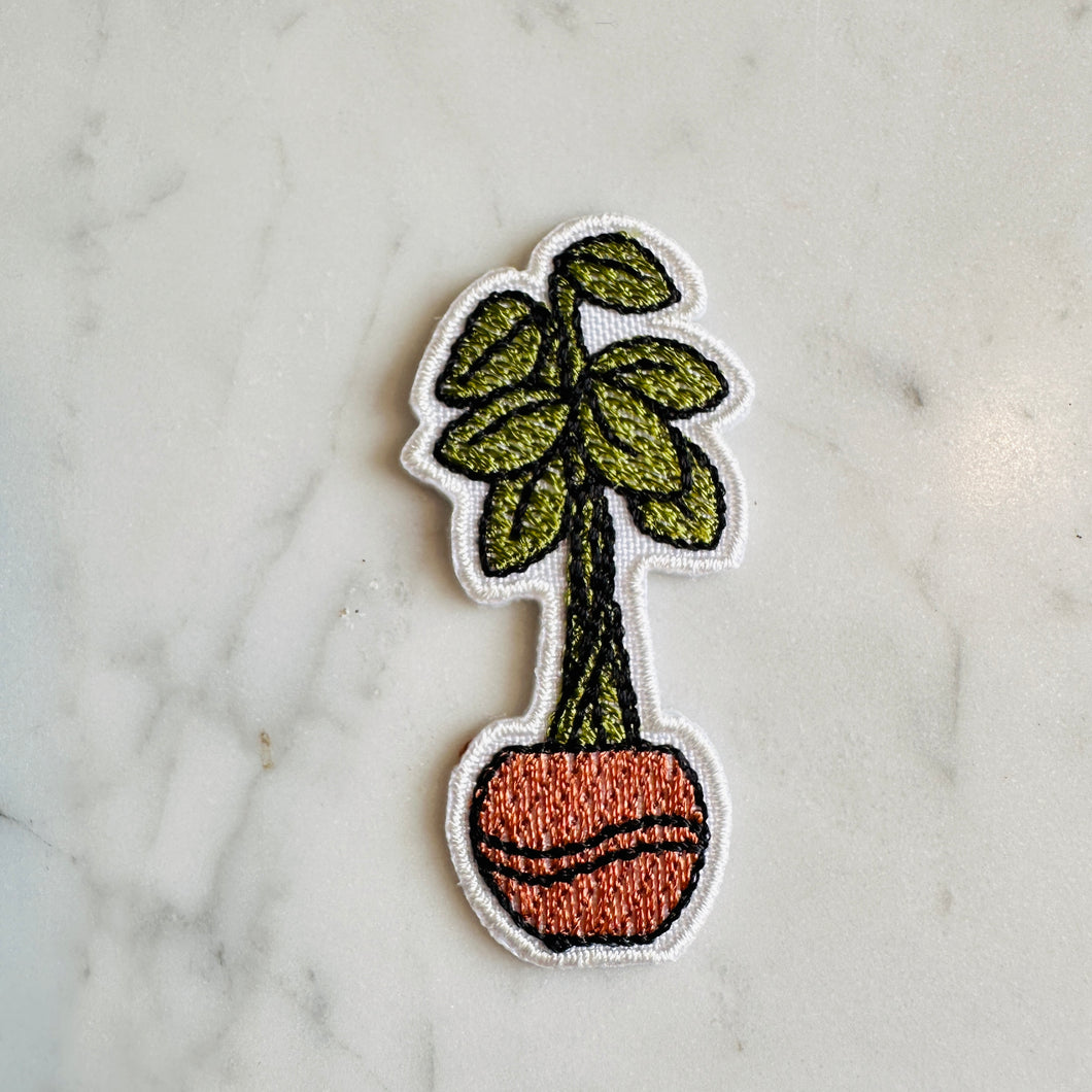 PIN - Planter C - Philodendron