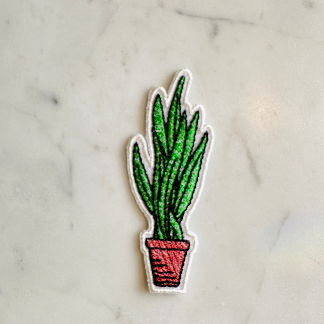 Planter B - Sansevieria
